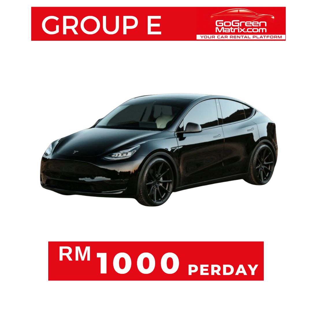 Tesla Model Y or Similar